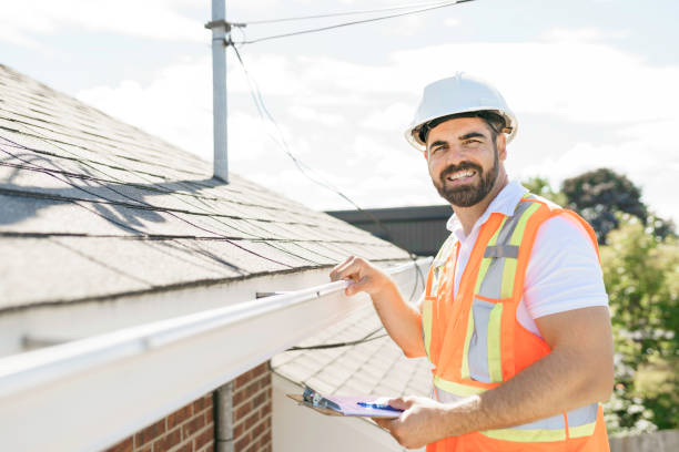 Best Roof Gutter Cleaning  in Affton, MO